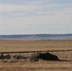 USAtrip-157