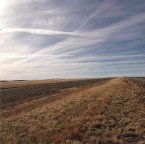 USAtrip-160