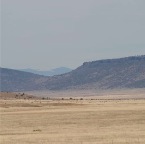 USAtrip-166