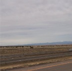 USAtrip-181