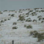 USAtrip-192