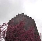 USAtrip-22