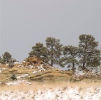 USAtrip-221