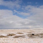 USAtrip-227