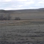 USAtrip-249