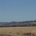 USAtrip-315