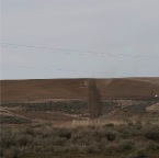 USAtrip-355