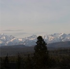 USAtrip-369