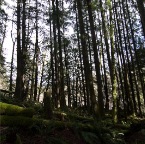 USAtrip-414