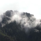 USAtrip-426