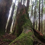 USAtrip-435