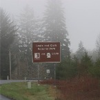 USAtrip-457