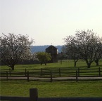 USAtrip-514