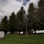 USAtrip-528