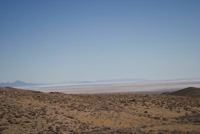 Loading Image