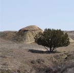 USAtrip-615