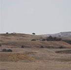 USAtrip-617