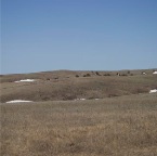 USAtrip-618