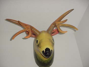 Deer_Head