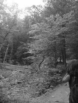 White_Oak_Canyon-Footpath_with_forrest